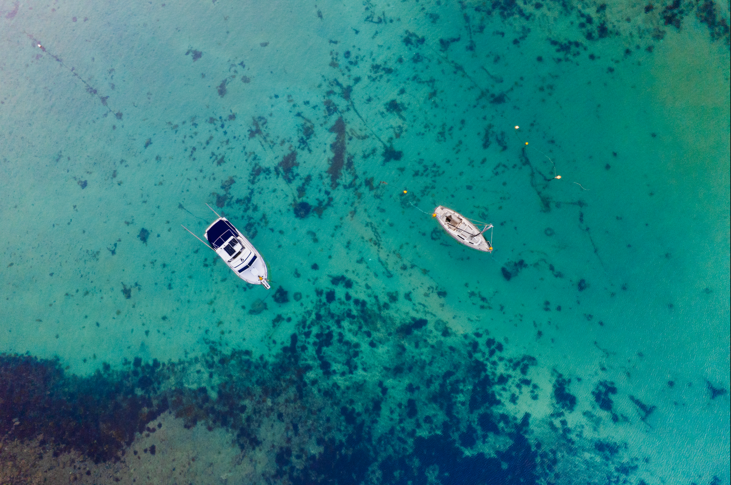 Sea at Ease