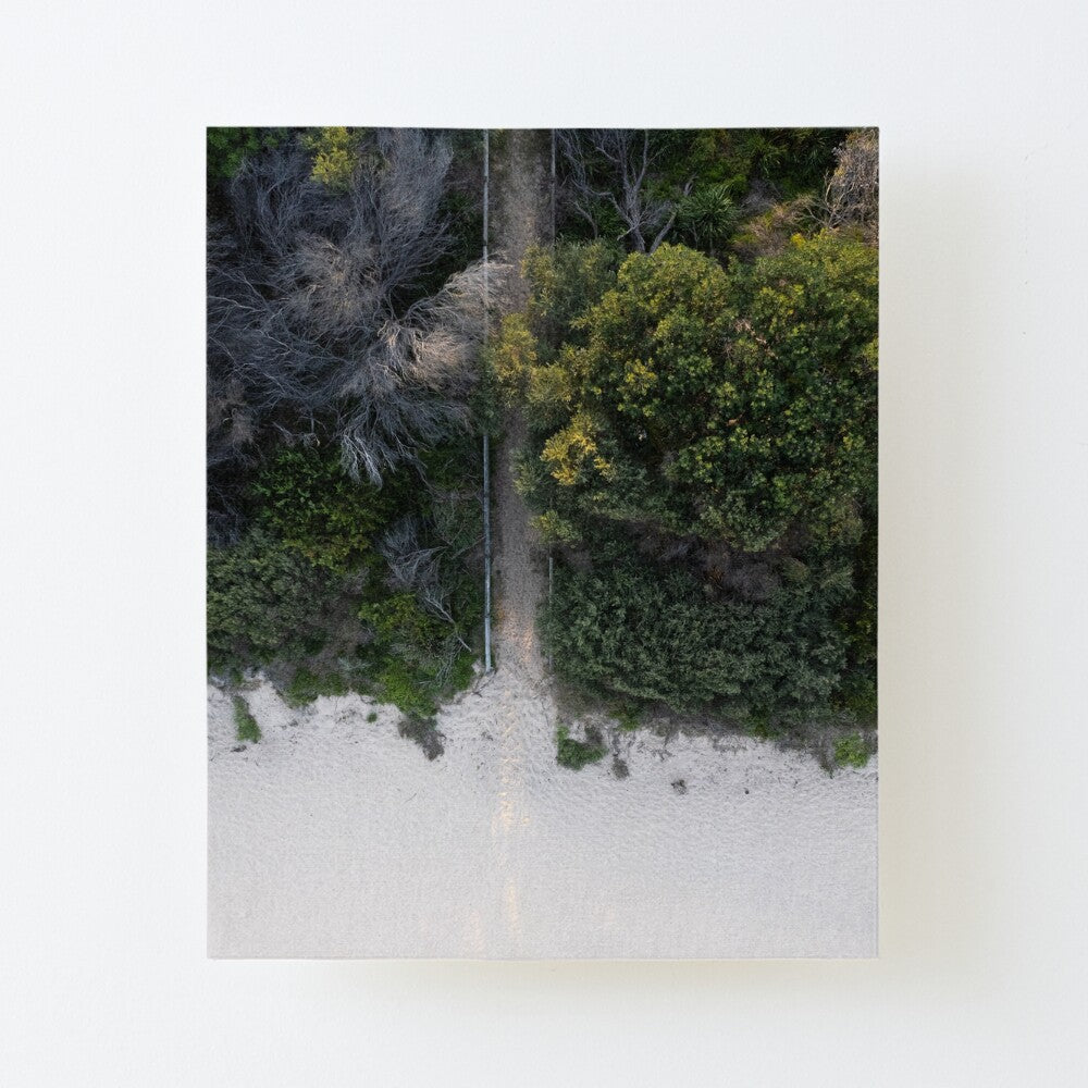 (Thirroul) Bush to Beach Canvas Mounted Print