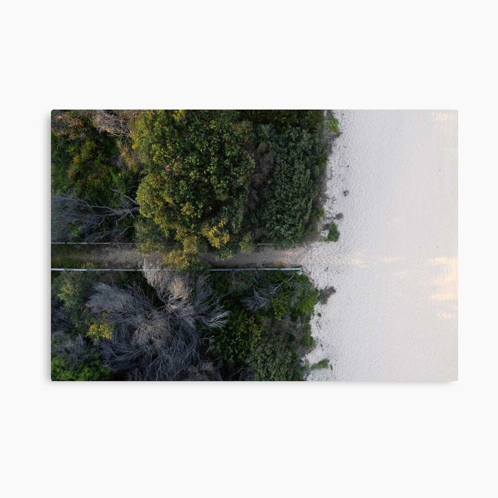 (Thirroul) Bush to Beach Canvas Print