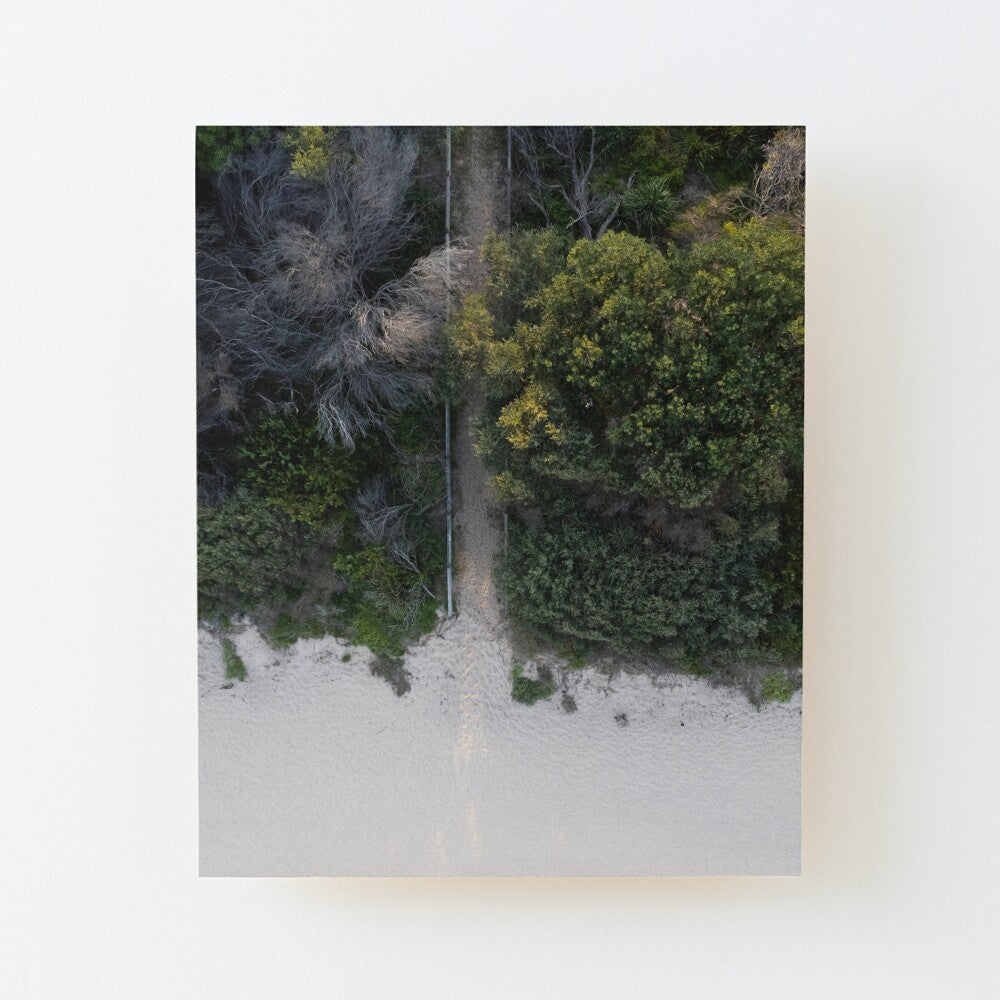 (Thirroul) Bush to Beach Wood Mounted Print
