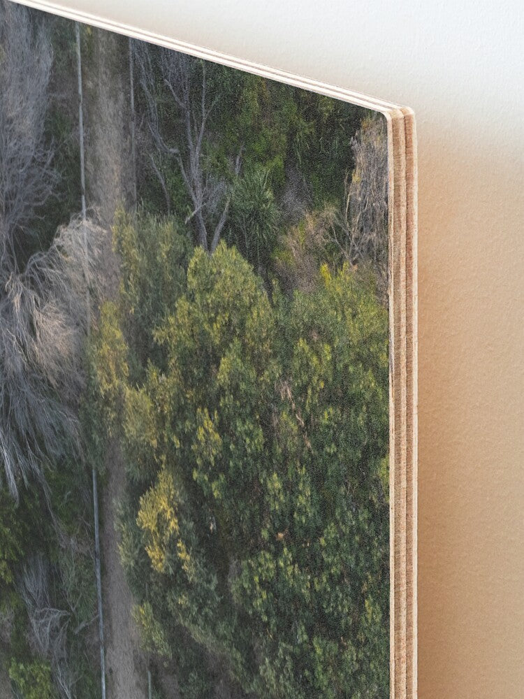 (Thirroul) Bush to Beach Wood Mounted Print