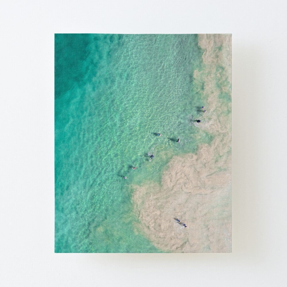 (Thirroul) Follow the Leader Canvas Mounted Print