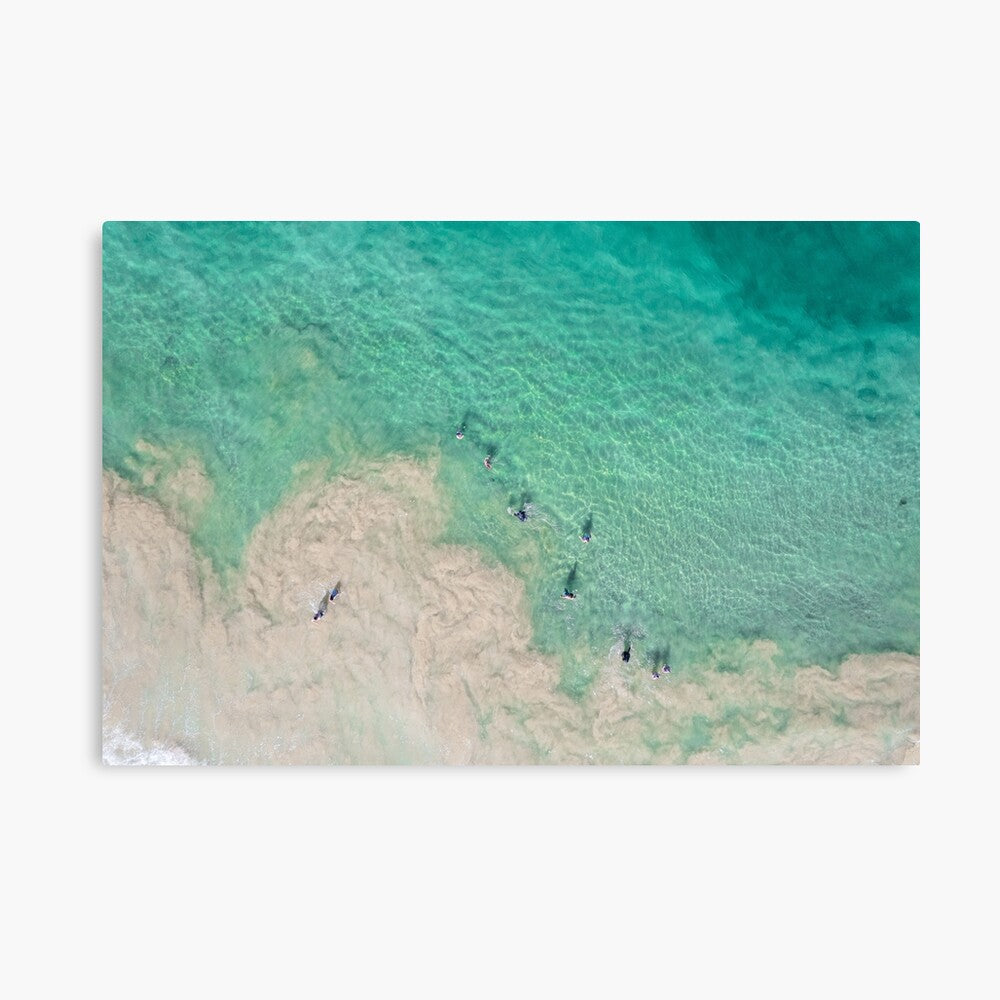 (Thirroul) Follow the Leader Canvas Print