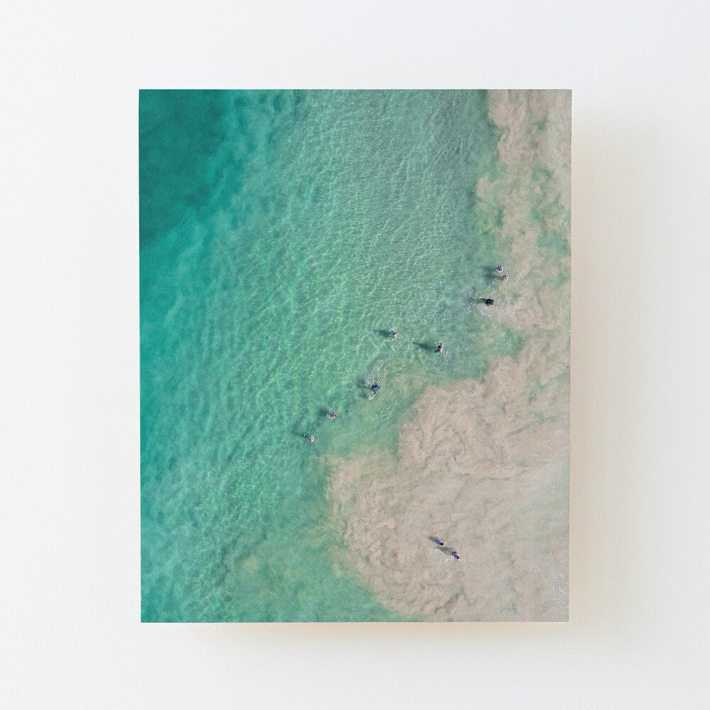 (Thirroul) Follow the Leader Wood Mounted Print