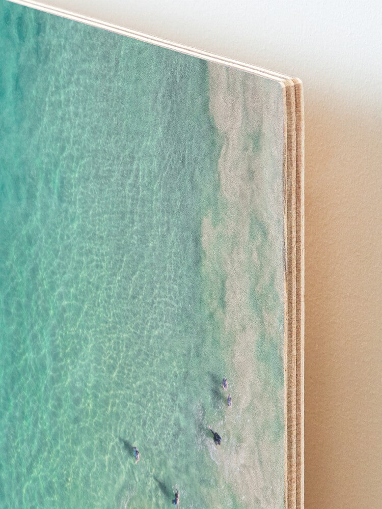 (Thirroul) Follow the Leader Wood Mounted Print