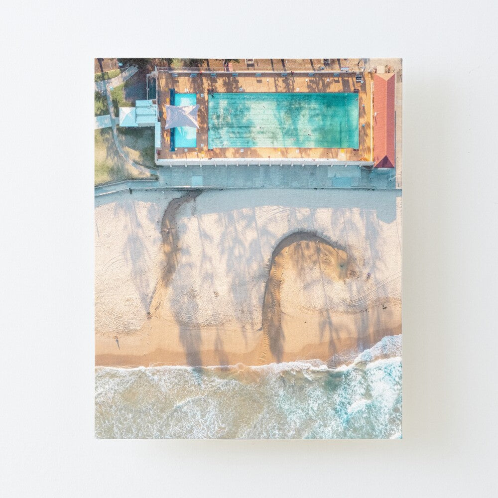 (Thirroul) Laps Canvas Mounted Print