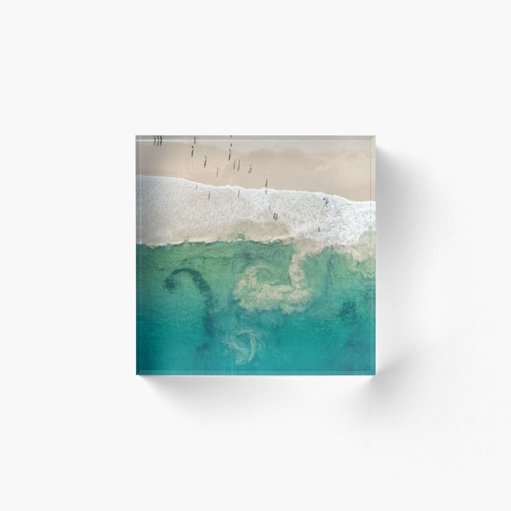 (Coledale) Sea Spirals Acrylic Block