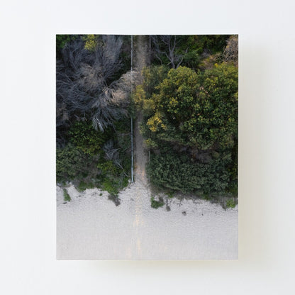 (Thirroul) Bush to Beach Canvas Mounted Print