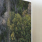 (Thirroul) Bush to Beach Canvas Mounted Print