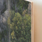 (Thirroul) Bush to Beach Wood Mounted Print