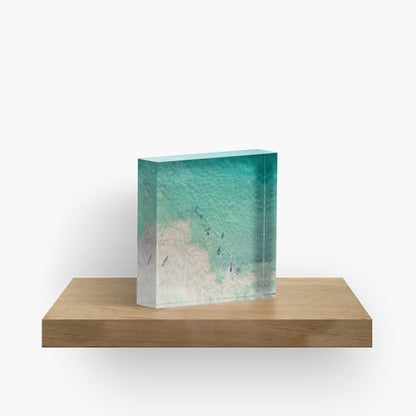 (Thirroul) Follow the Leader Acrylic Block