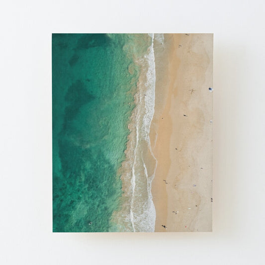 (Bulli) Saltwater Sanctuary Wood Mounted Print